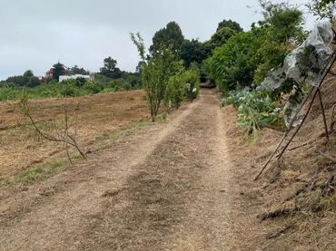 Finca rústica en  Camino el Cribo 8 - Foto 9