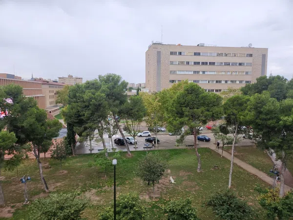 Piso en calle de Menéndez Pelayo, 10