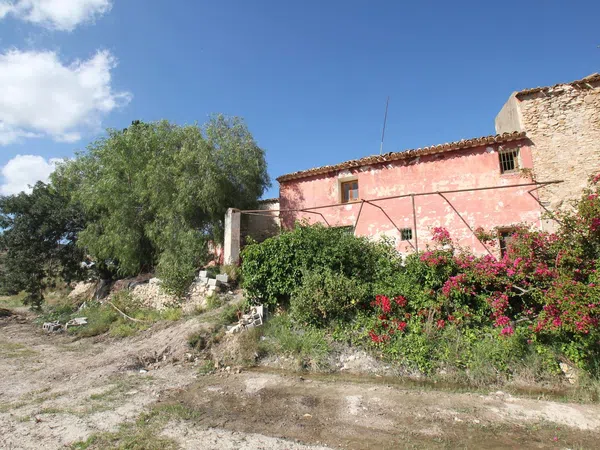 Finca rústica en Montnegre s/n - Foto 3