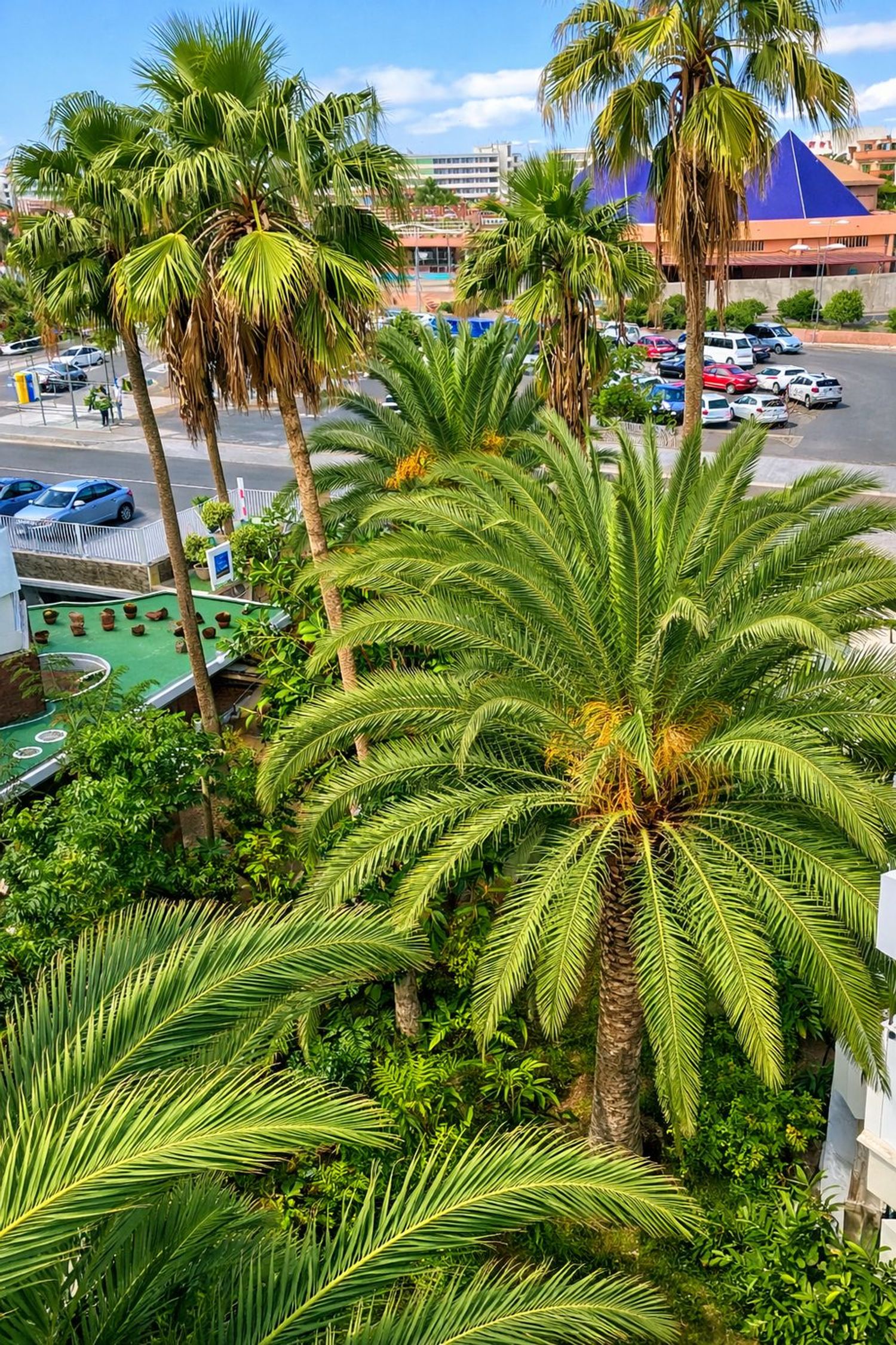 Piso en Avenida 8 de Marzo, 27, Playa del Inglés, Playa del Inglés - Foto 14