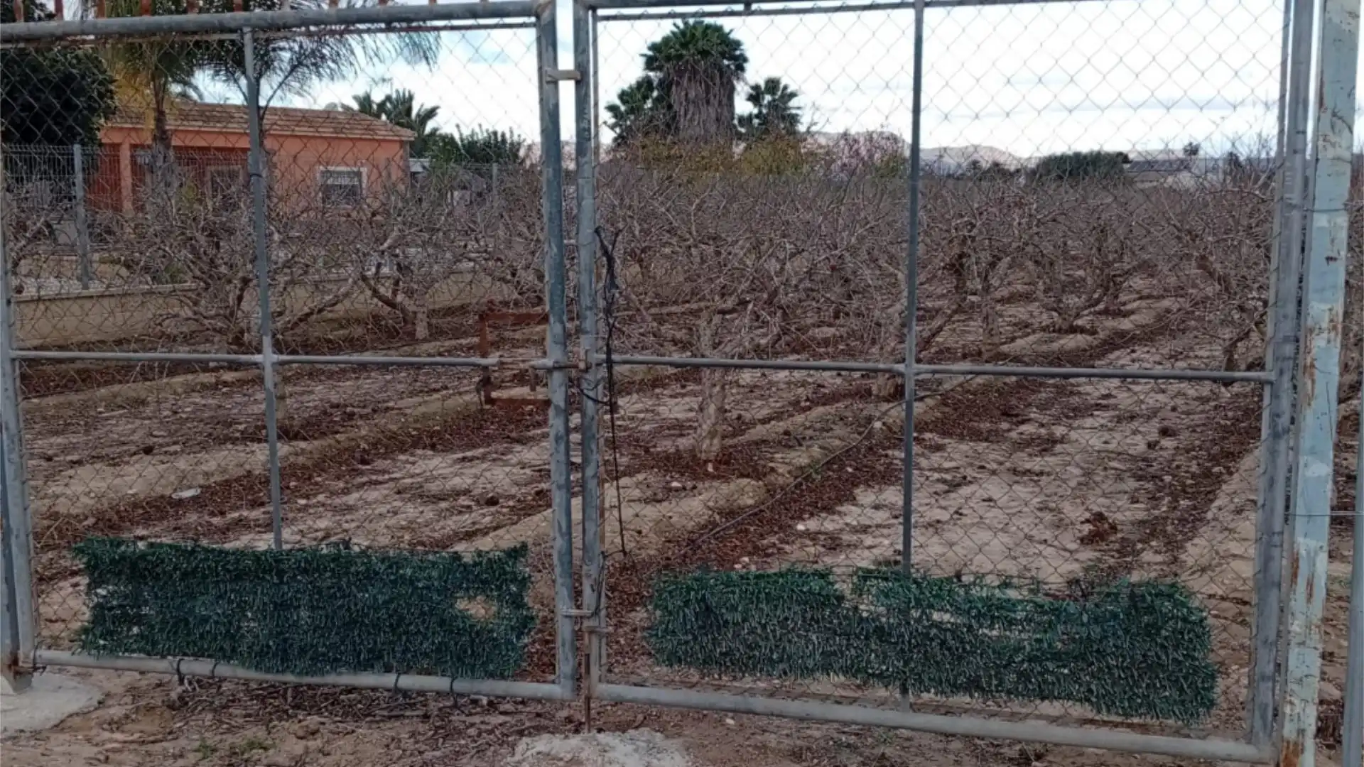 Finca rústica en  Avinguda de Dolores 1009A - Foto 3
