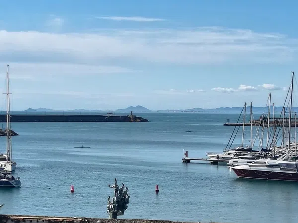 Piso en Calle Patricio Perez, 5, Centro - Muelle Pesquero - Foto 1