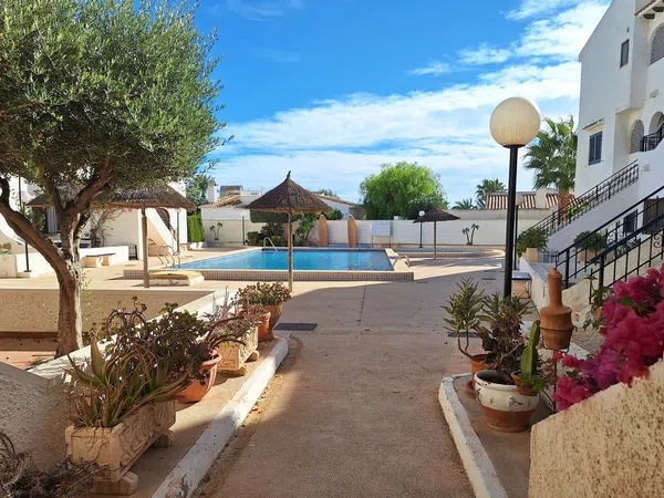 Piso en Calle los Geraneos, 1, Playa Flamenca - Foto 18