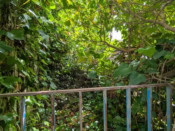 Casa o chalet independiente en Calle Rosario, 7, Cañadas de San Pedro - Foto 31
