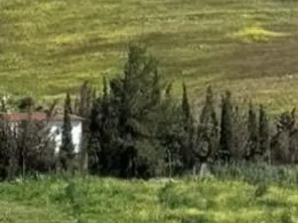 Finca rústica en Polígono diseminado, 7, Bello Horizonte-Lindasol - Foto 5