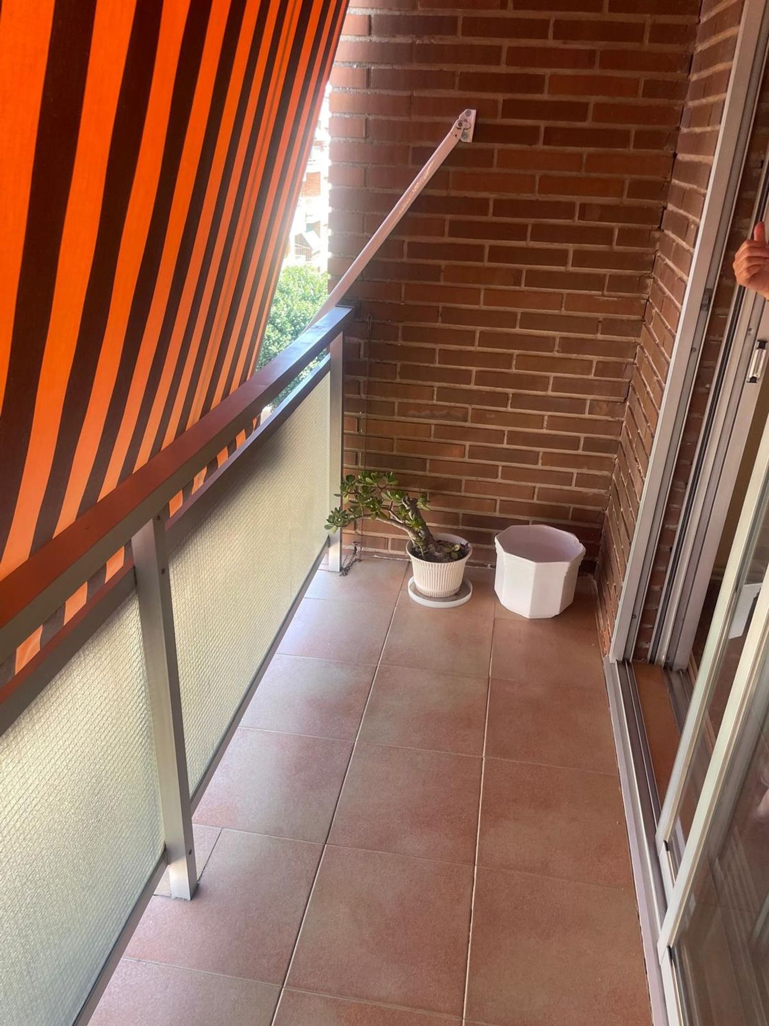 Piso en Calle de Pedrera Baja, 4, Plaza de Toros, Plaza de Toros - Foto 6