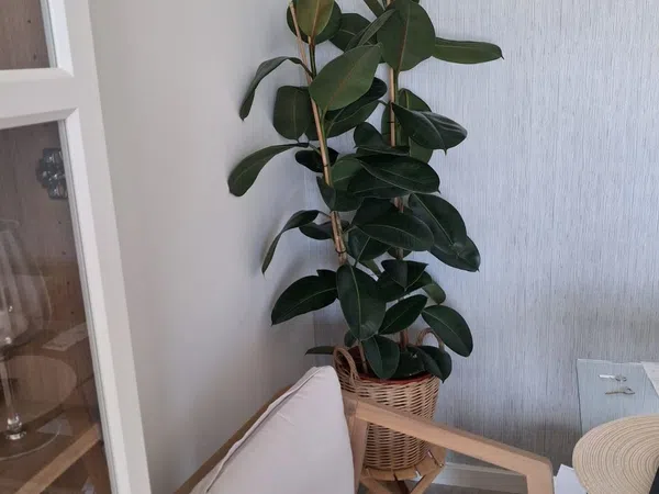 Piso en calle del Carme, 72 - Foto 7