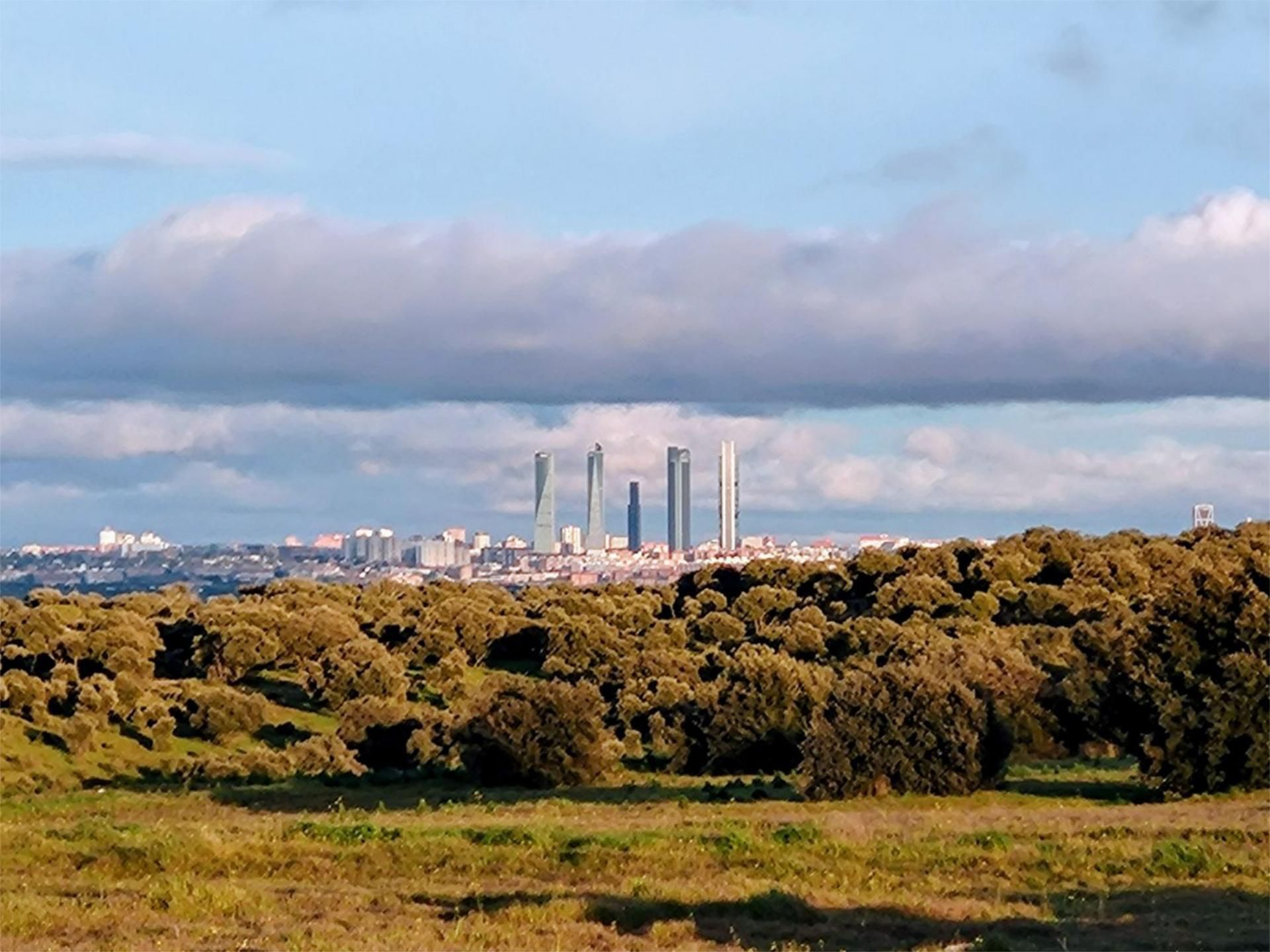 Piso en Las Rozas de Madrid - Foto 15