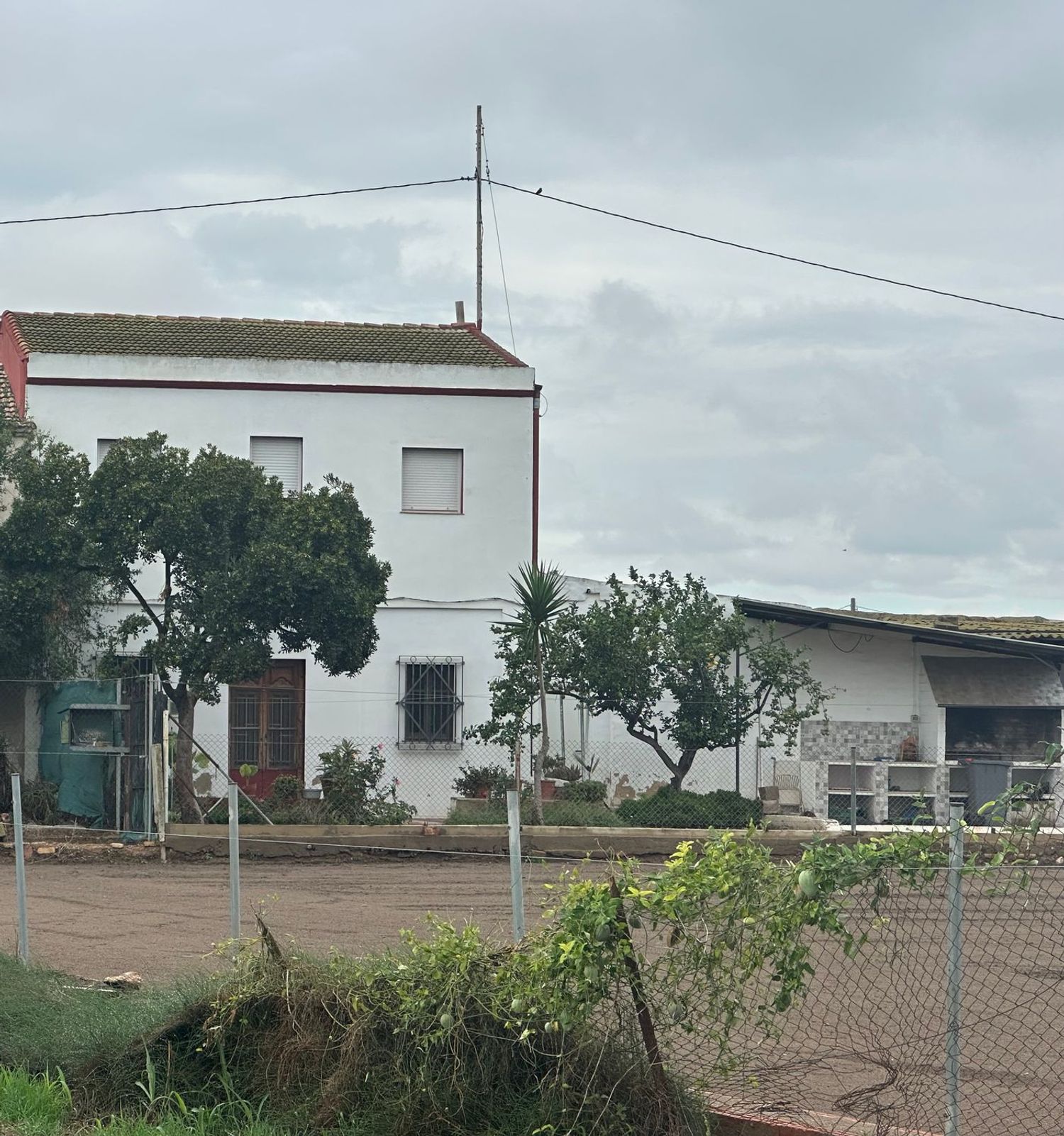 Finca rústica en calle Partida Calvet s/n - Foto 6