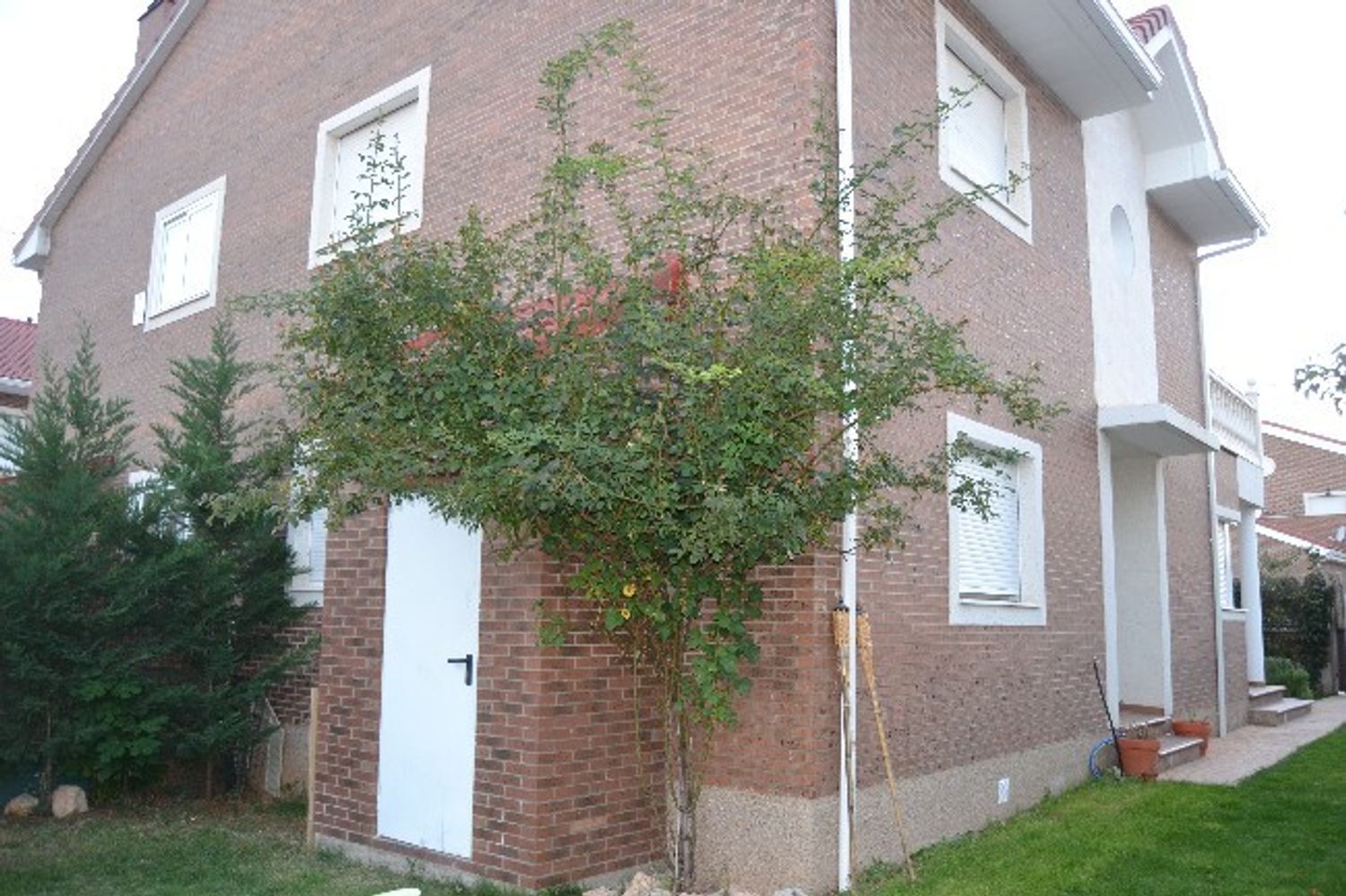 Chalet pareado en Calle Teresa de Jesús, 8 - Foto 22