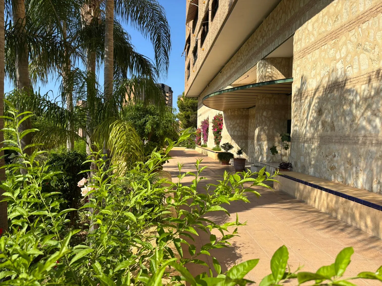 Piso en avenida Marina Alta, 2 - Foto 3