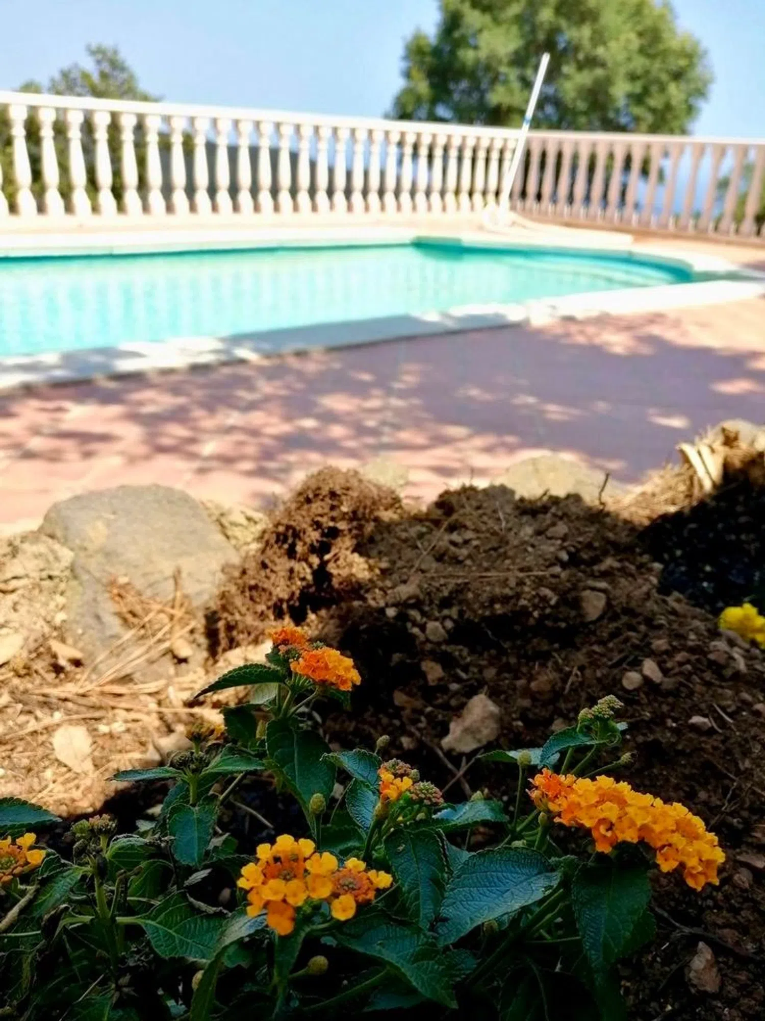 Casa terrera en carretera d'Hortsavinyà, 46 - Foto 5
