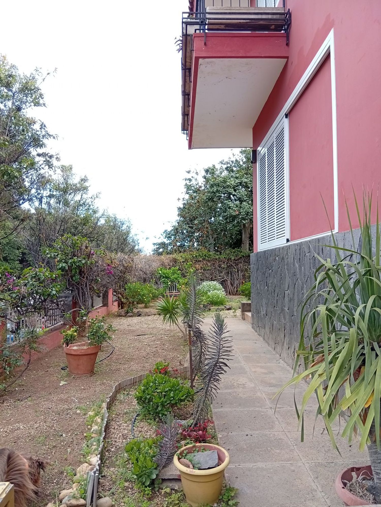 Casa o chalet independiente en Avenida de Benito Pérez Armas, 41 - Foto 33
