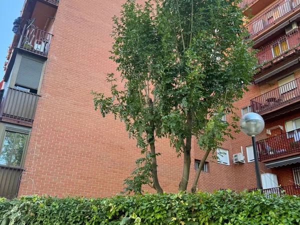 Piso en Avenida hermanos garcia, puerto de velate, 1 - Foto 12
