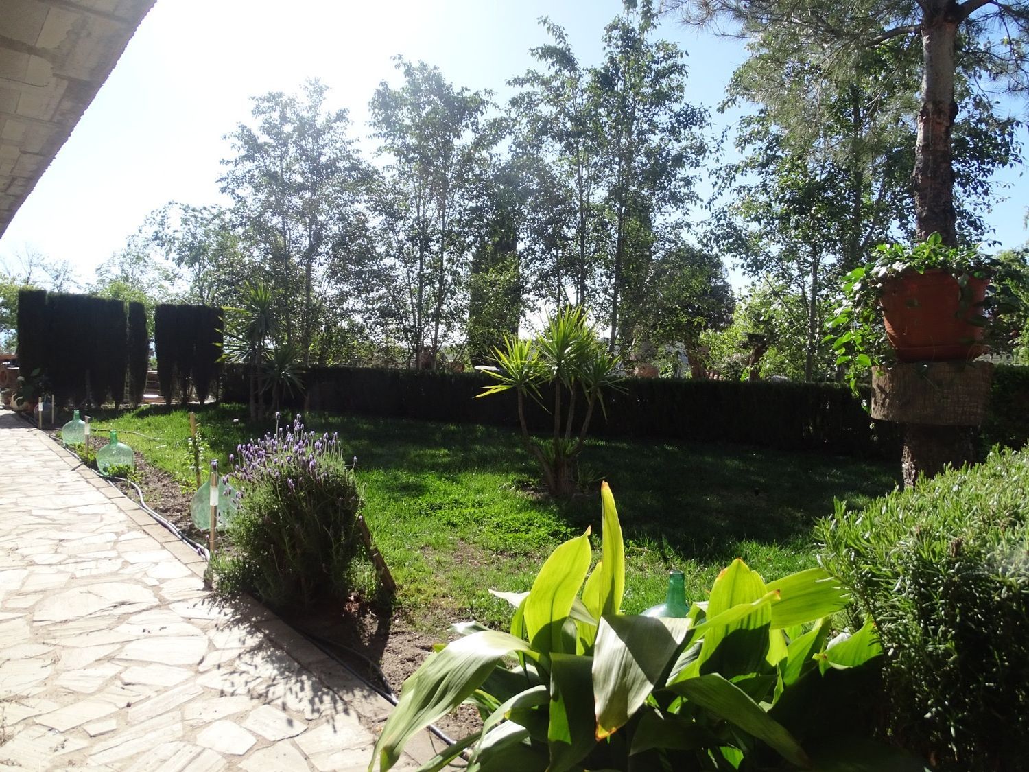 Casa rural en Paraje Cueva de la Luz s/n - Foto 5