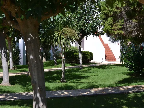 Piso en Son Xoriguer s/n, Cala En Bosch-Serpentona - Foto 23