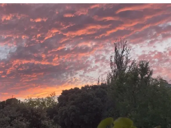 Casa o chalet independiente en Cerro Alarcón, Cerro Alarcón - Foto 40