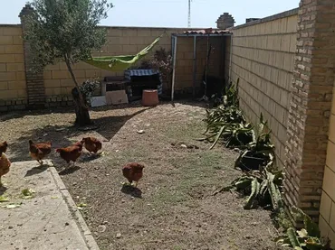 Finca rústica en  Camino Alcornocal 361 - Foto 14