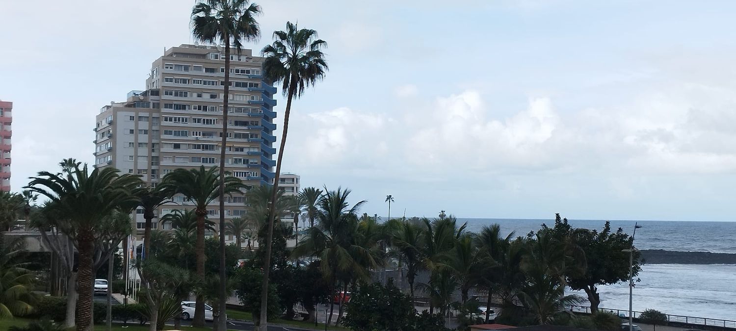 Estudio en Avenida de Cristobal Colón, 26 - Foto 20