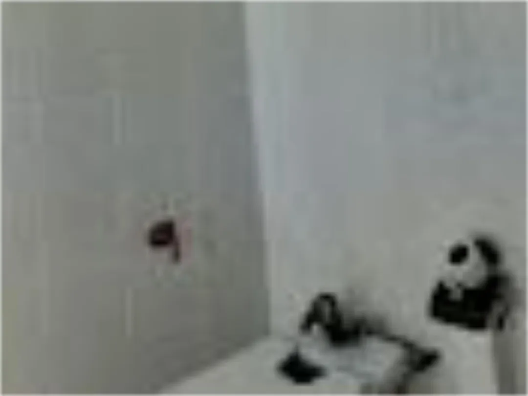 Casa adosada en  Avenida Ingeniero José Luis Prats 1 - Foto 37