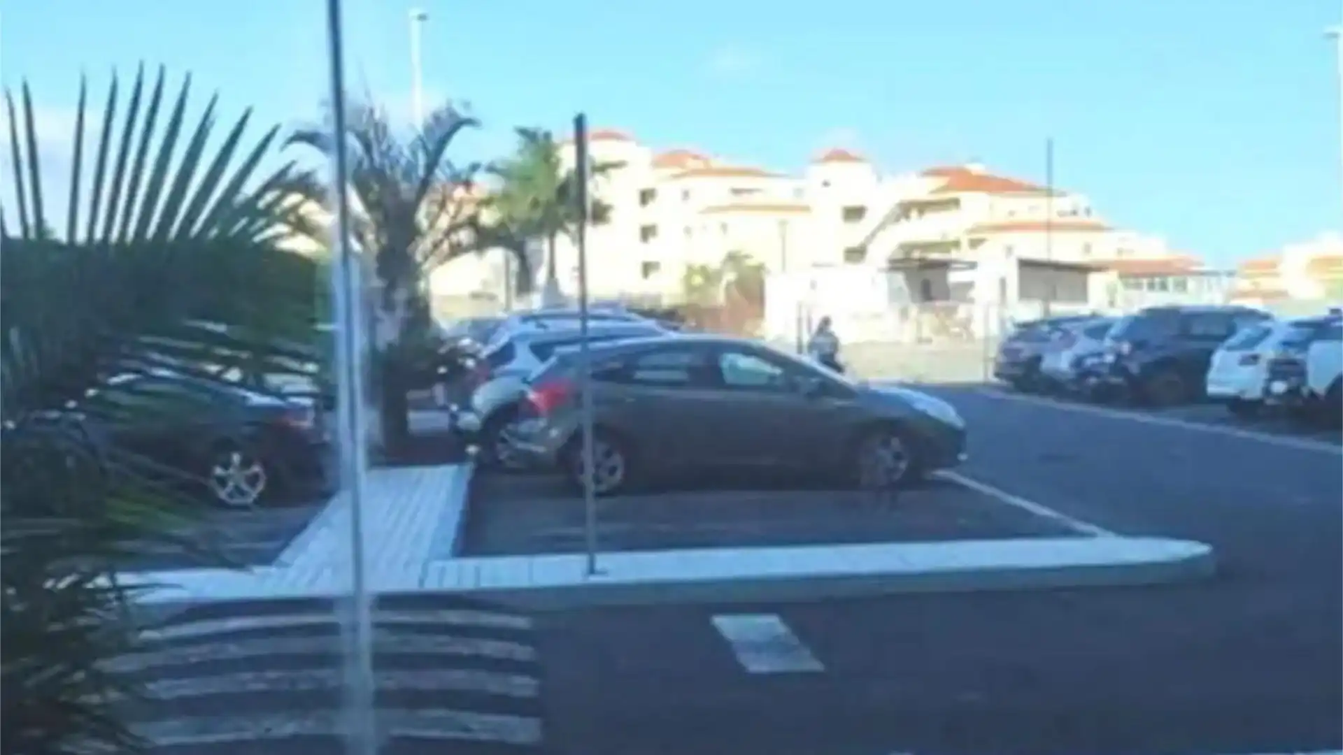 Piso en  Avenida del Sur 1 - Foto 17