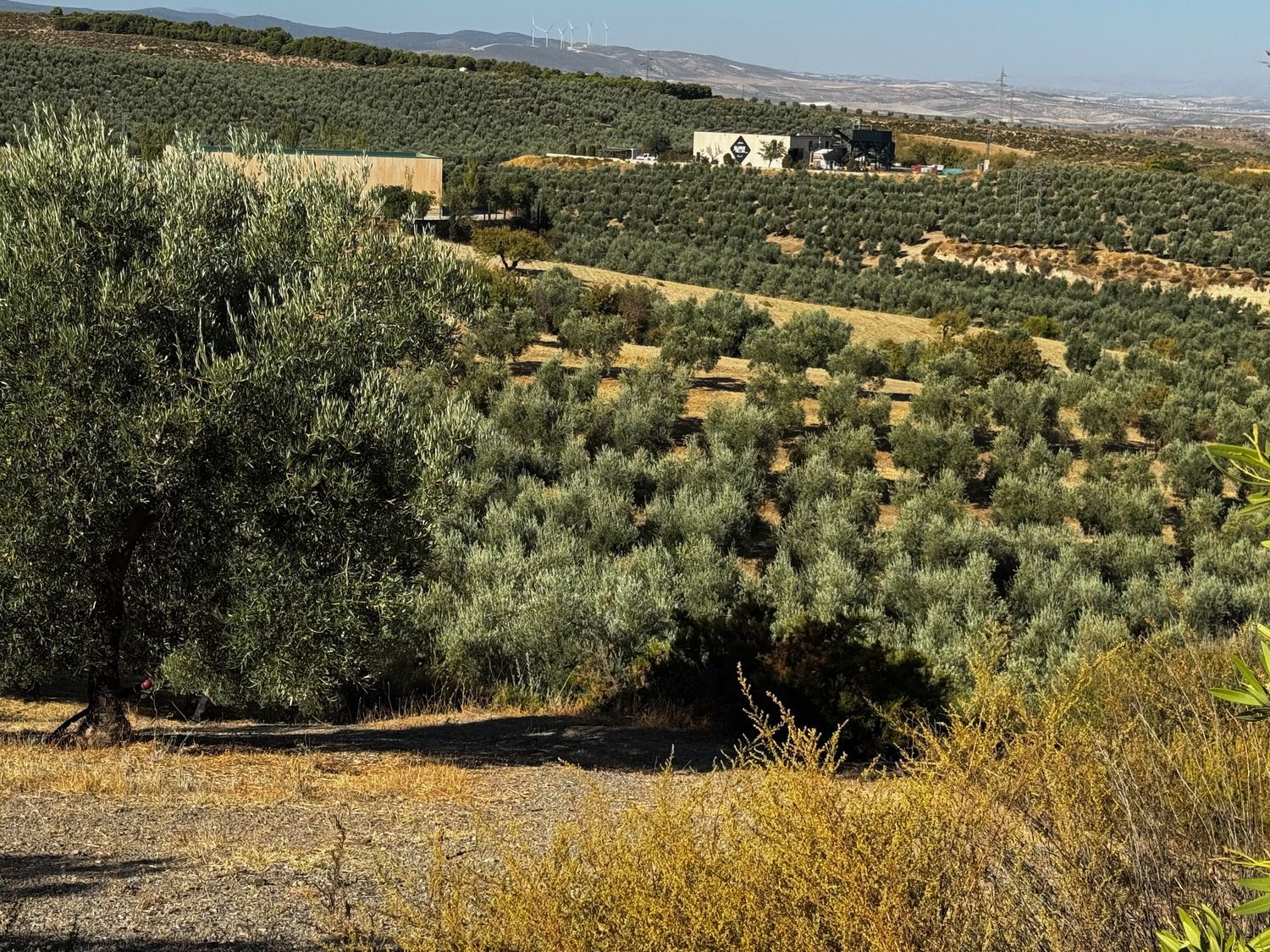 Finca rústica en Arroyo de la Calera 18152 s/n - Foto 12
