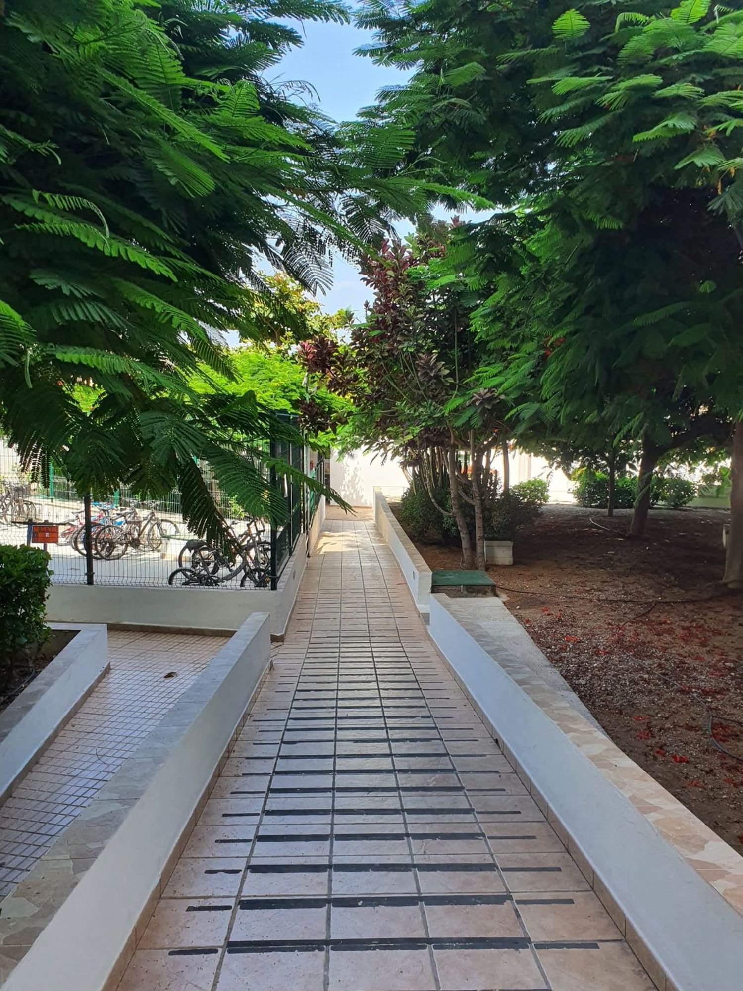 Estudio en Av.V Centenario,1, 10 - Foto 25