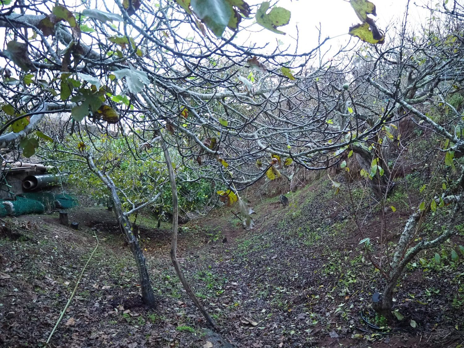 Casa independiente en calle el Sino, 37 - Foto 10