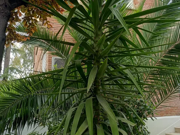 Casa independiente - Foto 1