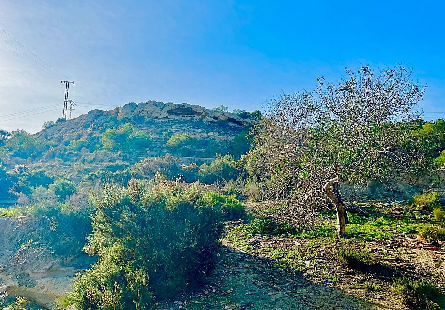 Finca rústica en camino Viejo de Saladas, 2 - Foto 20