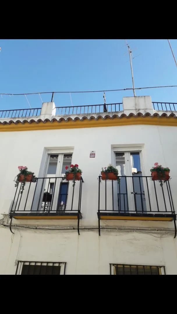 Piso en  Calle San Basilio 19 - Foto 16