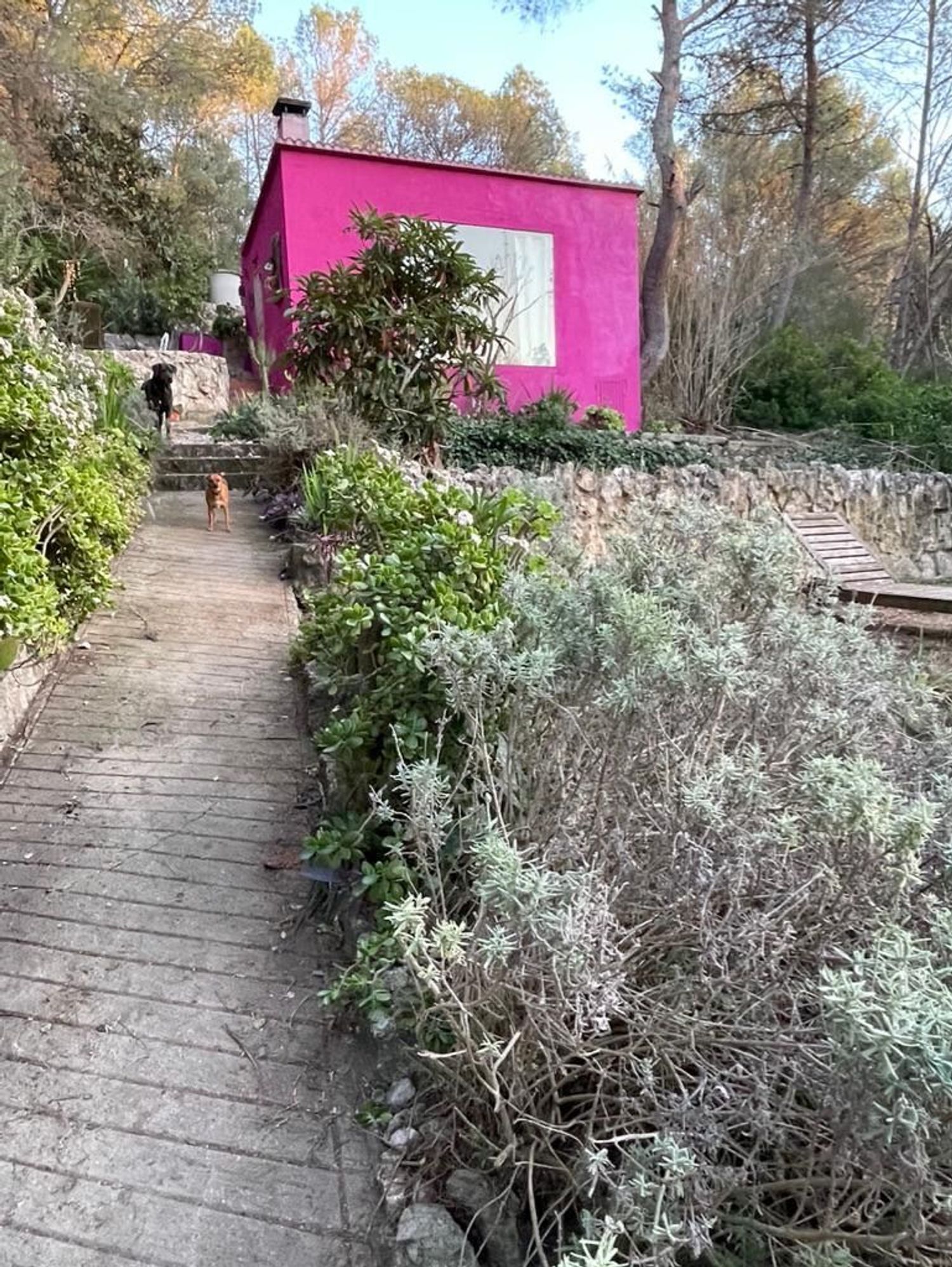 Casa terrera en calle roca s/n Sn - Foto 22