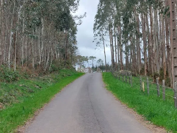 Finca rústica en Dp-3201, 6 - Foto 7