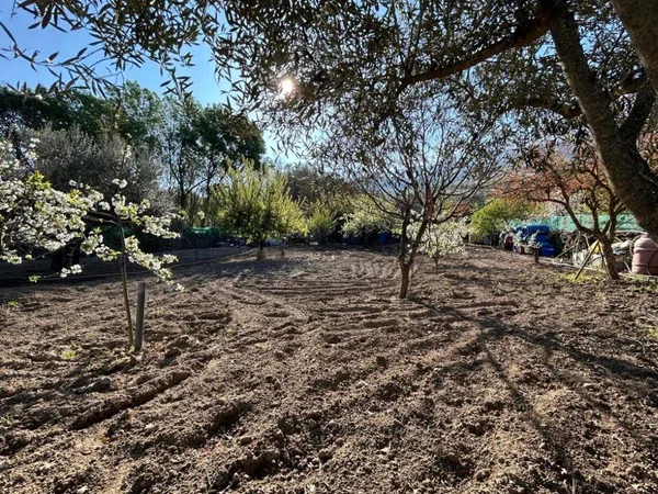 Finca rústica en Carretera Soria - Plasencia s/n - Foto 10