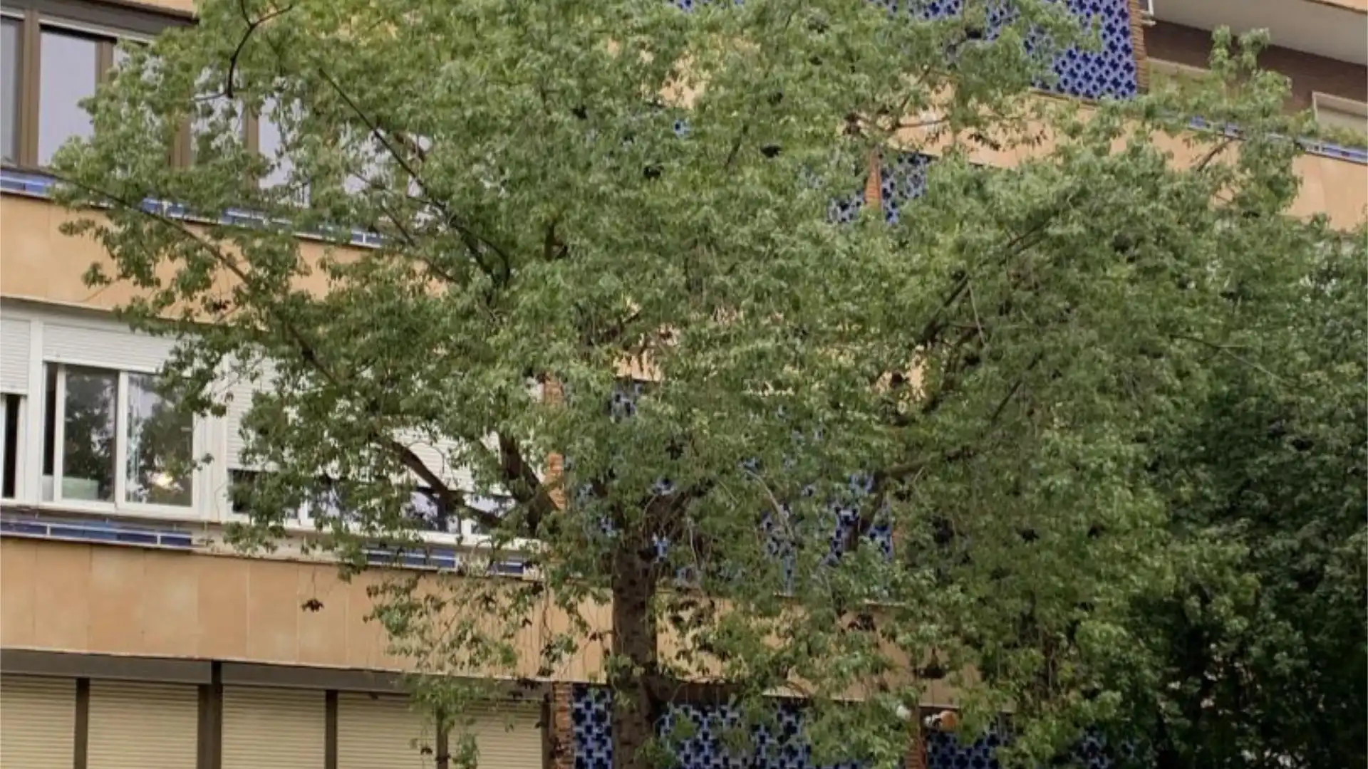 Piso en  Calle Felipe II 17 - Foto 4