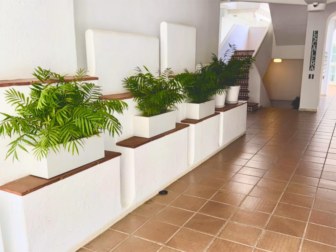 Apartamento en  Calle Irís 11 - Foto 3