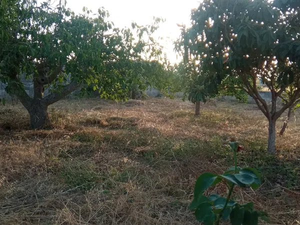 Finca rústica en Ma-3440 s/n, Zona periurbana, Zona periurbana - Foto 4