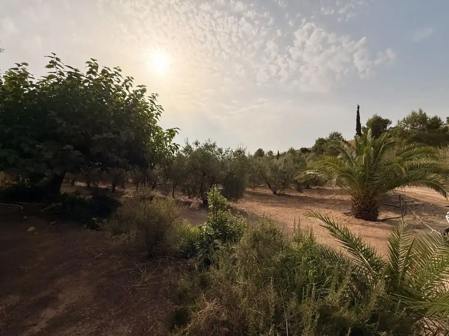 Finca rústica en  Camí de Sant Joan 1 - Foto 7