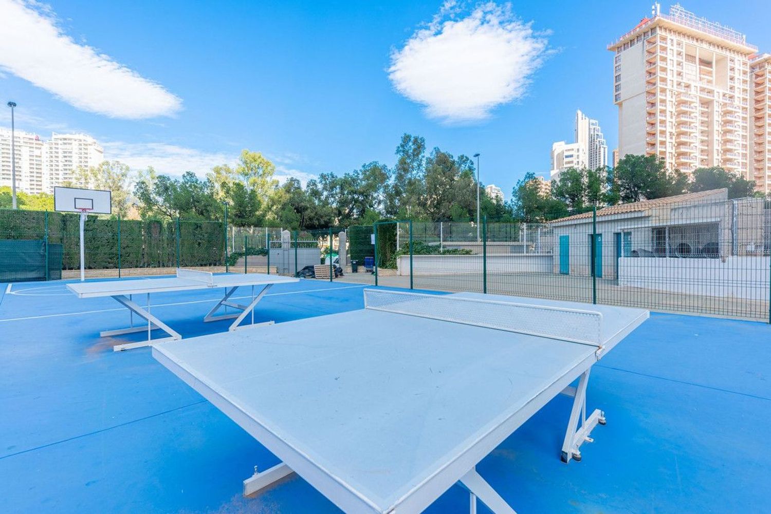 Piso en Calle Terral, 19, Cala Palmera - Atrium - Foto 22