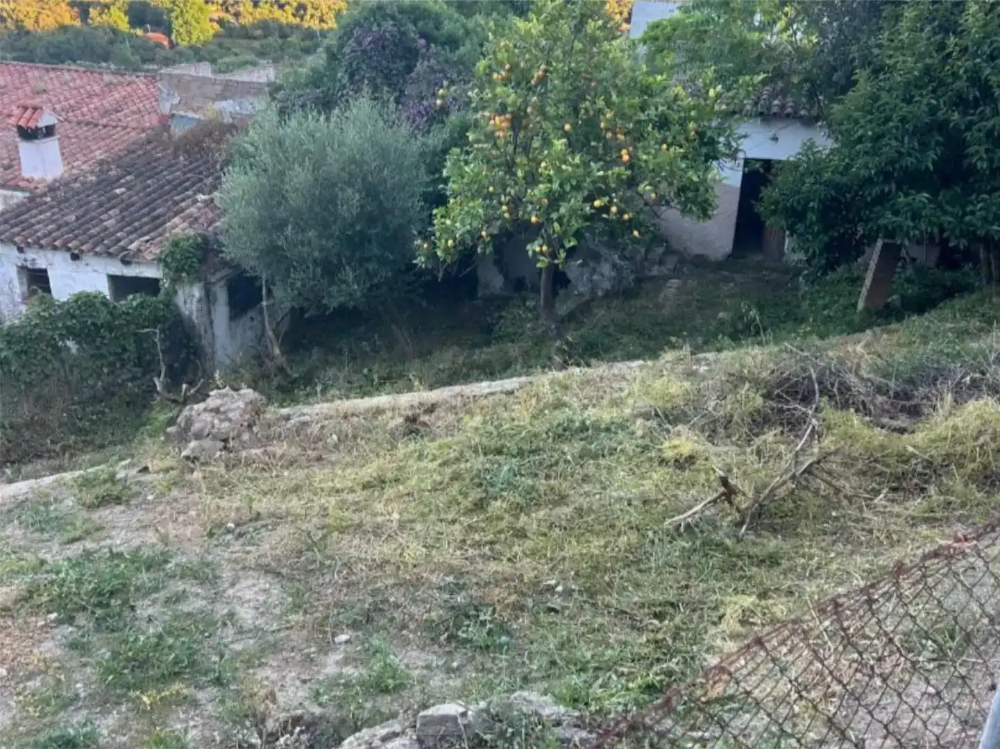 Finca rústica en  Calle Pasada de Alcalá 24 - Foto 3
