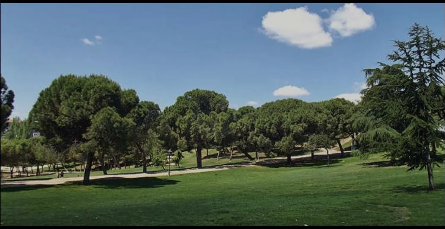 Piso en calle Teniente Ochoa Olalla, 10 - Foto 15