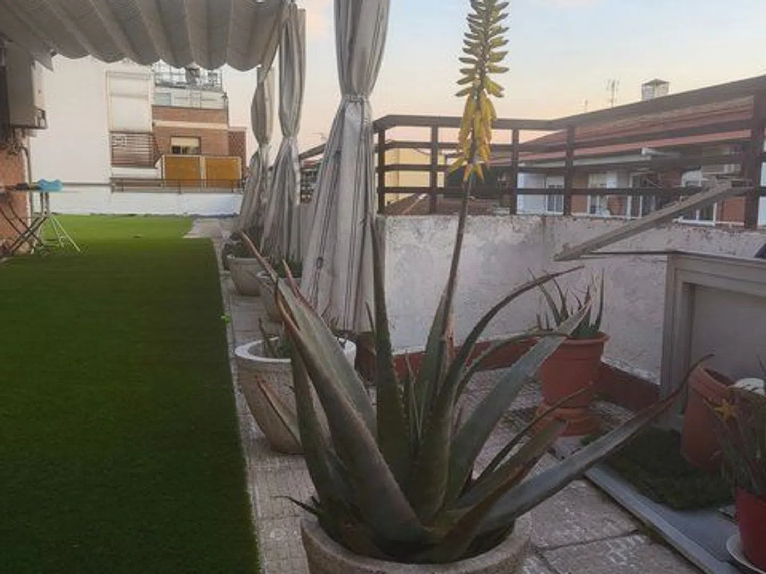 Ático en paseo de Alberto Palacios, 44 - Foto 1