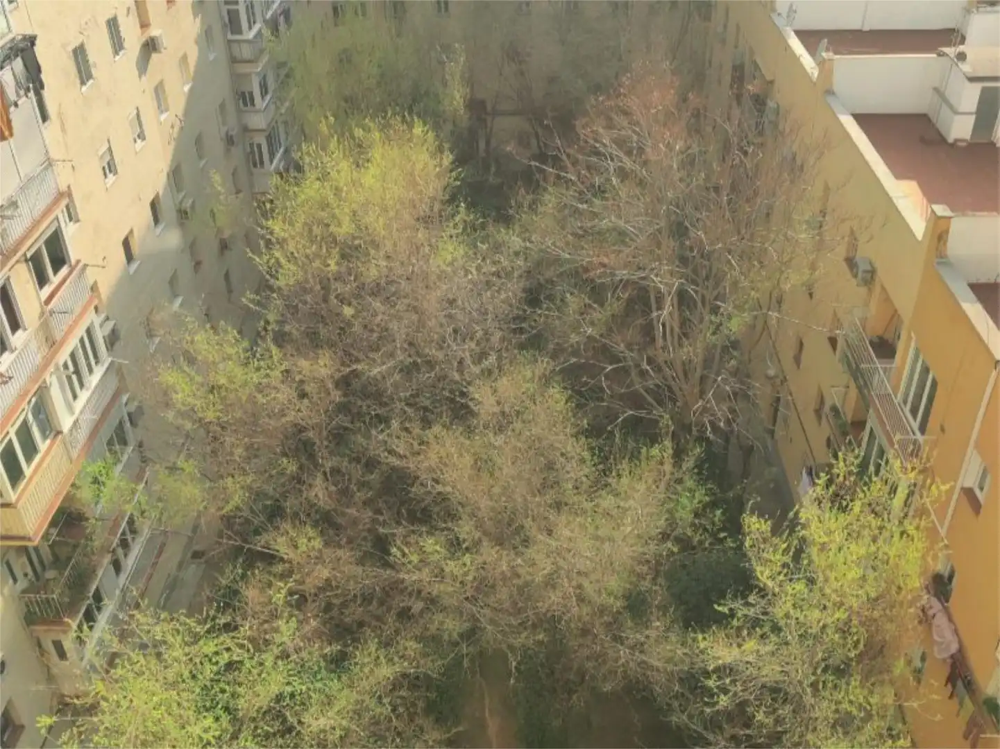 Piso en  Madrid Capital - Foto 63