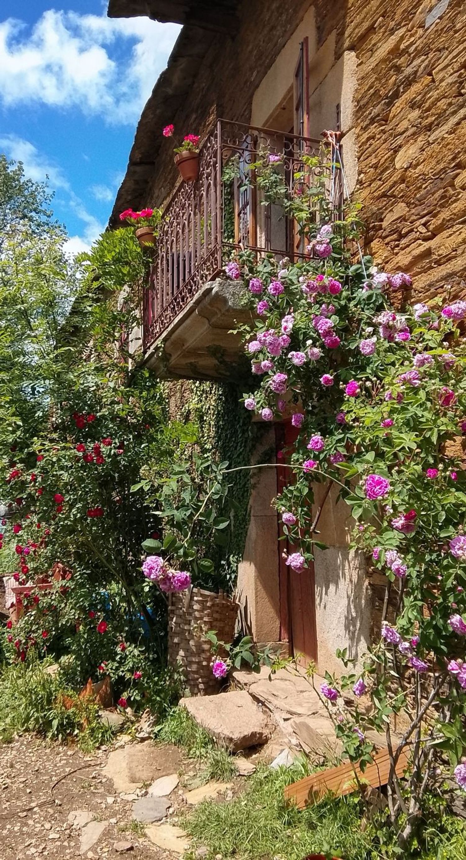 Palacio en Palacio en Monforte de Lemos - Foto 34