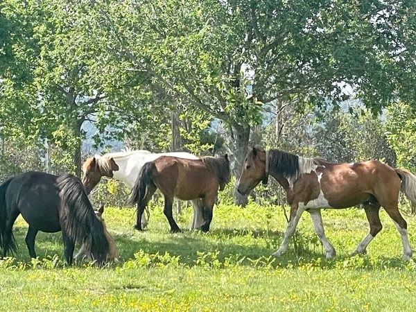 Chalet pareado en camino Sanín, 70 - Foto 37
