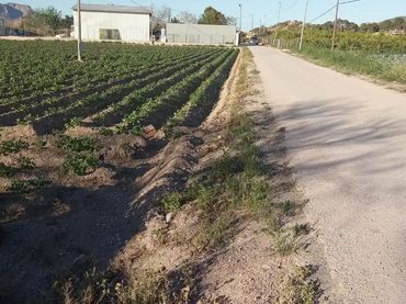 Finca rústica en  Carril de los Murcia 5 - Foto 20