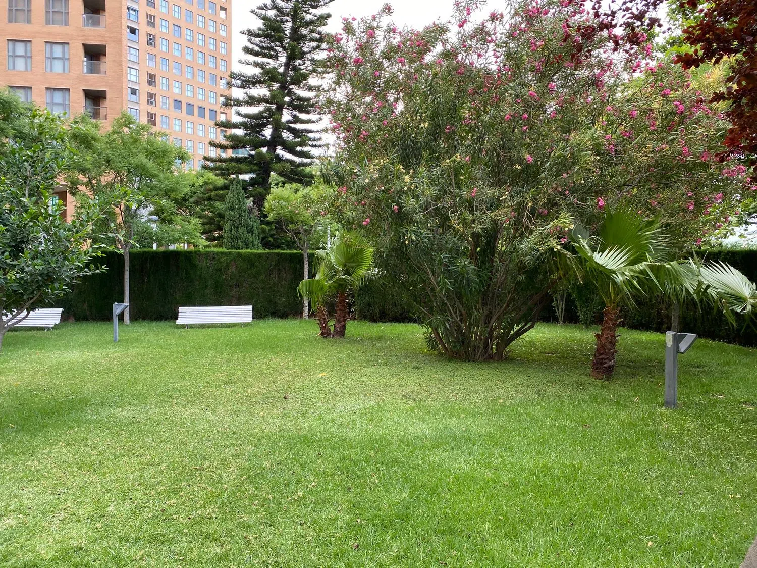 Piso en avenida del Professor López Piñero, 10 - Foto 37