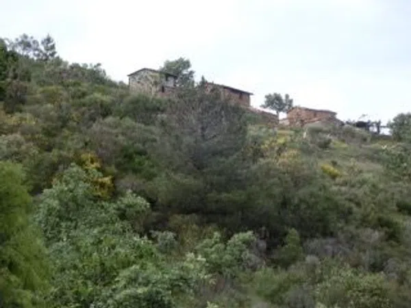 Finca rústica en Las Planas s/n - Foto 2