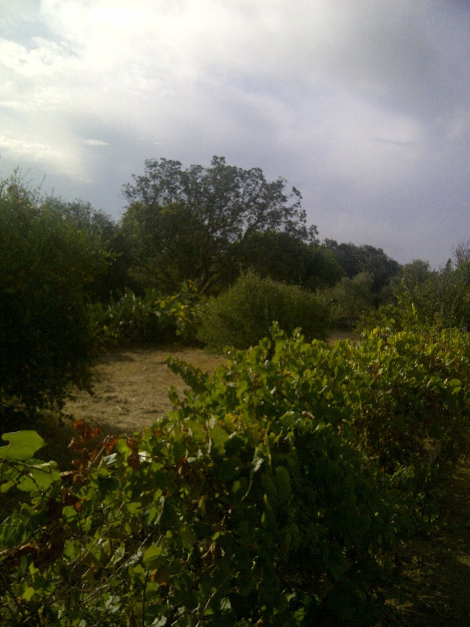 Casa independiente en camino de Melilla s/n - Foto 11