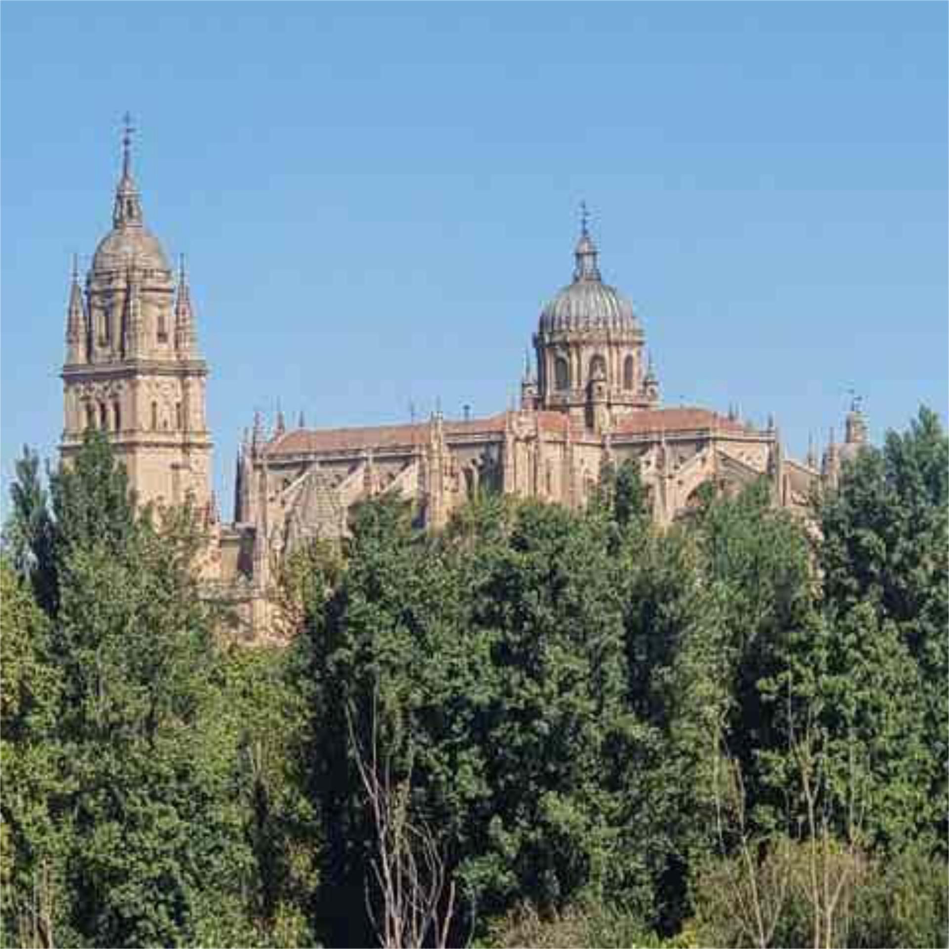 Piso en San José - Foto 3